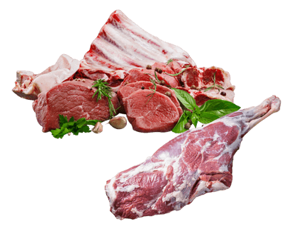 Chilled Halal Meat from Pakistan – fresh lamb and beef cuts for worldwide export