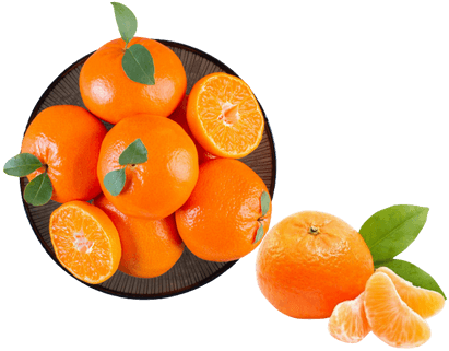 Premium Pakistani Kinnow Oranges – fresh citrus fruit for international markets
