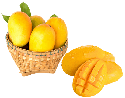 Fresh Pakistani Mangoes (Sindhri, Chunsa, Anwar Ratol) – seasonal premium fruit export