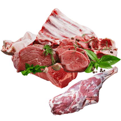 Chilled Halal Meat export quality from Pakistan
