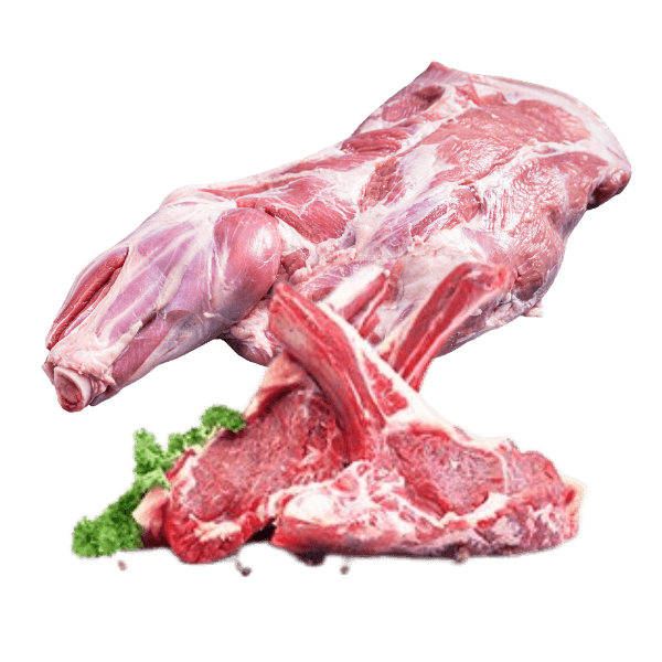 Chilled Mutton meat ready to export