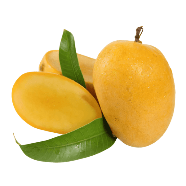 Fresh export quality Anwar Ratol mangoes from Pakistan with golden yellow color